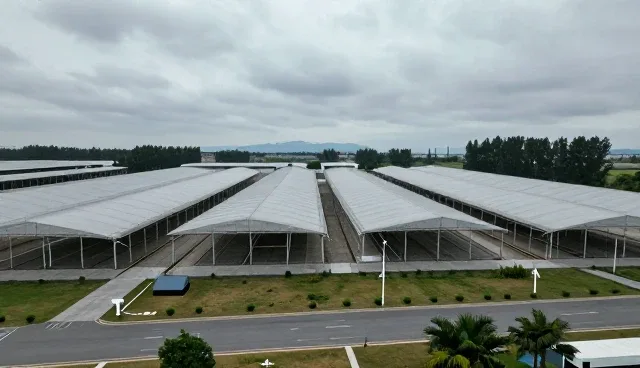 提升用户留存的关键策略与短视频直播运营实践