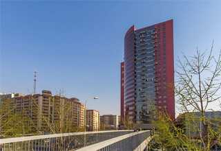 浙江聚氨酯胶粘石地坪施工队