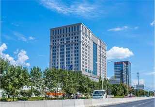 浙江有机化合物硫化剂外观